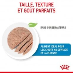 ROYAL CANIN Dog Starter Mother & Babydog Mousse Boîte -Magasins Sélectionnés De Fournitures Pour Animaux Et Chiens dog starter mother babycat mousse boite 2