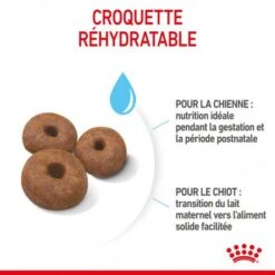 ROYAL CANIN Dog Starter Mother & Babydog Giant -Magasins Sélectionnés De Fournitures Pour Animaux Et Chiens dog starter mother babydog giant 2