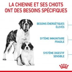 ROYAL CANIN Dog Starter Mother & Babydog Giant -Magasins Sélectionnés De Fournitures Pour Animaux Et Chiens dog starter mother babydog giant 3