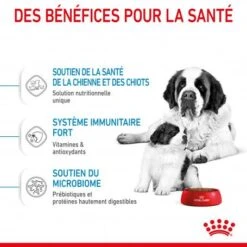 ROYAL CANIN Dog Starter Mother & Babydog Giant -Magasins Sélectionnés De Fournitures Pour Animaux Et Chiens dog starter mother babydog giant 4