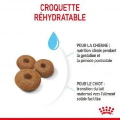 ROYAL CANIN Dog Starter Mother & Babydog Maxi -Magasins Sélectionnés De Fournitures Pour Animaux Et Chiens dog starter mother babydog maxi 2