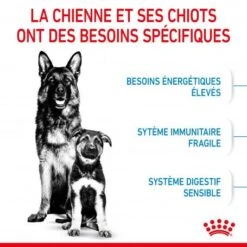 ROYAL CANIN Dog Starter Mother & Babydog Maxi -Magasins Sélectionnés De Fournitures Pour Animaux Et Chiens dog starter mother babydog maxi 3