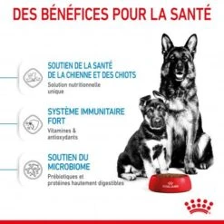 ROYAL CANIN Dog Starter Mother & Babydog Maxi -Magasins Sélectionnés De Fournitures Pour Animaux Et Chiens dog starter mother babydog maxi 4