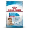 ROYAL CANIN Dog Starter Mother & Babydog Medium -Magasins Sélectionnés De Fournitures Pour Animaux Et Chiens dog starter mother babydog medium
