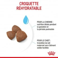 ROYAL CANIN Dog Starter Mother & Babydog Medium 12 ROYAL CANIN Dog Starter Mother & Babydog Medium -Magasins Sélectionnés De Fournitures Pour Animaux Et Chiens dog starter mother babydog medium 2