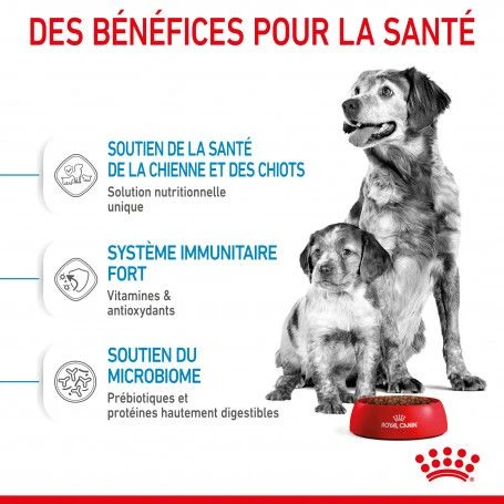ROYAL CANIN Dog Starter Mother & Babydog Medium 7 ROYAL CANIN Dog Starter Mother & Babydog Medium – Image 5