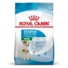 ROYAL CANIN Dog Starter Mother & Babydog Mini -Magasins Sélectionnés De Fournitures Pour Animaux Et Chiens dog starter mother babydog mini