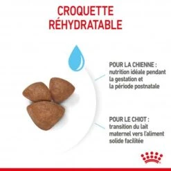 ROYAL CANIN Dog Starter Mother & Babydog Mini 12 ROYAL CANIN Dog Starter Mother & Babydog Mini -Magasins Sélectionnés De Fournitures Pour Animaux Et Chiens dog starter mother babydog mini 2