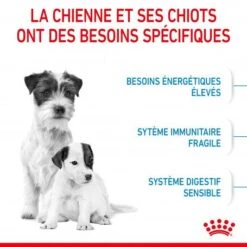 ROYAL CANIN Dog Starter Mother & Babydog Mini 13 ROYAL CANIN Dog Starter Mother & Babydog Mini -Magasins Sélectionnés De Fournitures Pour Animaux Et Chiens dog starter mother babydog mini 3