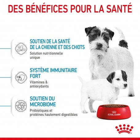 ROYAL CANIN Dog Starter Mother & Babydog Mini 7 ROYAL CANIN Dog Starter Mother & Babydog Mini – Image 5