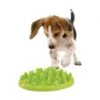 Materiel Gamelle Green Slow Dog Pour Chien -Magasins Sélectionnés De Fournitures Pour Animaux Et Chiens gamelle catch interactive northmate pour chien