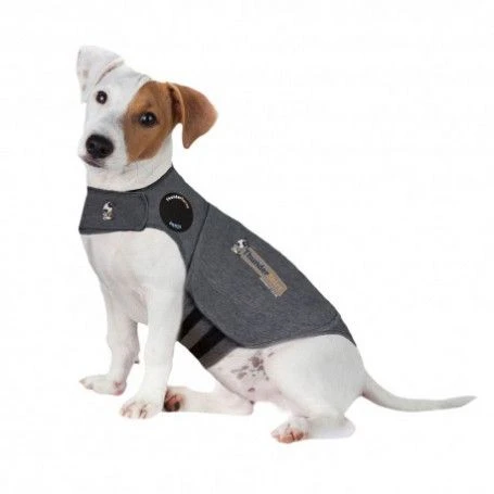 Materiel Gilet Anti-anxiété ThunderShirt Pour Chien 3 Materiel Gilet Anti-anxiété ThunderShirt Pour Chien