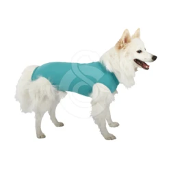 Materiel Gilet DogBody VetMedCare Pour Chien