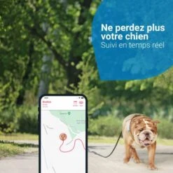 Materiel GPS Tractive Dog 4 Pour Chien -Magasins Sélectionnés De Fournitures Pour Animaux Et Chiens gps tractive dog 4 pour chien 1