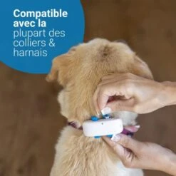 Materiel GPS Tractive Dog 4 Pour Chien -Magasins Sélectionnés De Fournitures Pour Animaux Et Chiens gps tractive dog 4 pour chien 5