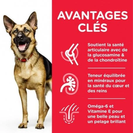 Canine Mature Adult 6+ Large Breed Poulet 4 Canine Mature Adult 6+ Large Breed Poulet – Image 2