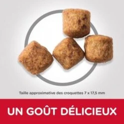 Canine Mature Adult 6+ Large Breed Poulet 7 Canine Mature Adult 6+ Large Breed Poulet -Magasins Sélectionnés De Fournitures Pour Animaux Et Chiens hills canine mature adult 6 large breed poulet 2
