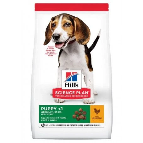 Puppy Medium Poulet Healthy Development 2 Puppy Medium Poulet Healthy Development