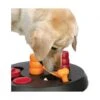 Materiel Jouet Chien éducatif : Flip Board -Magasins Sélectionnés De Fournitures Pour Animaux Et Chiens jouet chien educatif flip board