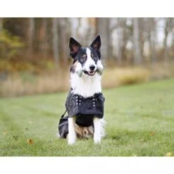 Materiel Manteau Imperméable Pour Chien Back On Track -Magasins Sélectionnés De Fournitures Pour Animaux Et Chiens manteau impermeable pour chien back on track 1