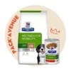 Pack'Avenue Hill's Prescription Diet J/d Metabolic+Mobility Pour Chien -Magasins Sélectionnés De Fournitures Pour Animaux Et Chiens pack avenue hills croquettes prescription diet