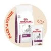 Pack'Avenue Royal Canin Dog Renal Sac 14kg Avec 12 Sachets Repas émincé -Magasins Sélectionnés De Fournitures Pour Animaux Et Chiens pack croquettes Veterinary health nutrition dog renal