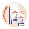 Pack'Avenue Royal Canin DOG ADULT 10KG Avec 12 Sachets Repas -Magasins Sélectionnés De Fournitures Pour Animaux Et Chiens pack croquettes chien adulte moyenne race