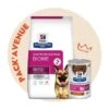 Pack'Avenue Hill's Prescription Diet Gastrointestinal Biome Croquettes Pour Chien Au Poulet -Magasins Sélectionnés De Fournitures Pour Animaux Et Chiens pack croquettes chien gastrointestinal biome poulet