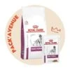 Pack'Avenue Royal Canin Dog Early Renal Sac 14kg Avec 12 Sachets Repas