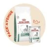 Pack'Avenue Royal Canin Dog Satiety Weight Management Sac 1,5kg Avec 12 Boîtes