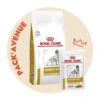 Pack'Avenue Royal Canin Dog Urinary S/O Moderate Calorie Sac 12kg Avec 12 Sachets Repas -Magasins Sélectionnés De Fournitures Pour Animaux Et Chiens pack croquettes dog urinary so moderate calorie