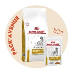 Pack'Avenue Royal Canin Dog Urinary S/O Moderate Calorie Sac 12kg Avec 12 Sachets Repas