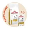 Pack'Avenue Royal Canin Dog Urinary S/O SMALL DOG 8KG Avec 12 Sachets Repas -Magasins Sélectionnés De Fournitures Pour Animaux Et Chiens pack croquettes dog urinary so small dog