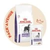 Pack'Avenue Royal Canin Mature Consult Large Dog 14KG Avec 12 Sachets Repas -Magasins Sélectionnés De Fournitures Pour Animaux Et Chiens pack croquettes mature consult large dog