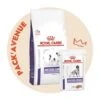 Pack'Avenue Royal Canin Mature Consult Small Dog 3,5KG Avec 12 Sachets Repas -Magasins Sélectionnés De Fournitures Pour Animaux Et Chiens pack croquettes mature consult small dog