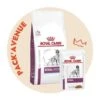 Pack'Avenue Royal Canin Dog Renal Special Sac 10kg Avec 12 Sachets Repas émincé -Magasins Sélectionnés De Fournitures Pour Animaux Et Chiens pack croquettes veterinary health nutrition dog renal special