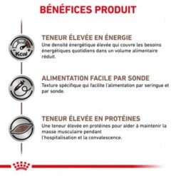 Magasins Sélectionnés De Fournitures Pour Animaux Et Chiens -Magasins Sélectionnés De Fournitures Pour Animaux Et Chiens royal canin cat dog recovery boite 1