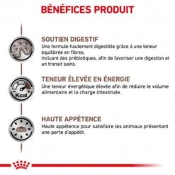 ROYAL CANIN Dog Gastro Intestinal -Magasins Sélectionnés De Fournitures Pour Animaux Et Chiens royal canin dog gastro intestinal 3