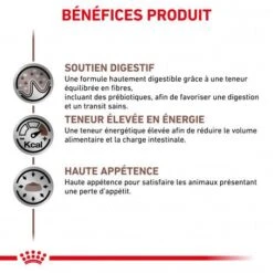 ROYAL CANIN Dog Gastro Intestinal Boîte -Magasins Sélectionnés De Fournitures Pour Animaux Et Chiens royal canin dog gastro intestinal boite 1