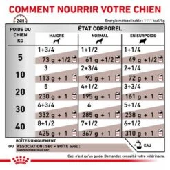 ROYAL CANIN Dog Gastro Intestinal Boîte -Magasins Sélectionnés De Fournitures Pour Animaux Et Chiens royal canin dog gastro intestinal boite 2