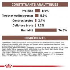 ROYAL CANIN Dog Gastro Intestinal Boîte -Magasins Sélectionnés De Fournitures Pour Animaux Et Chiens royal canin dog gastro intestinal boite 4