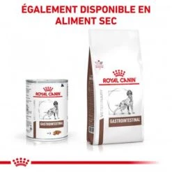 ROYAL CANIN Dog Gastro Intestinal Boîte -Magasins Sélectionnés De Fournitures Pour Animaux Et Chiens royal canin dog gastro intestinal boite 6