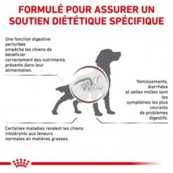 ROYAL CANIN Dog Gastro Intestinal Low Fat -Magasins Sélectionnés De Fournitures Pour Animaux Et Chiens royal canin dog gastro intestinal low fat 1