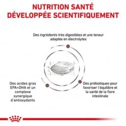 ROYAL CANIN Dog Gastro Intestinal Low Fat -Magasins Sélectionnés De Fournitures Pour Animaux Et Chiens royal canin dog gastro intestinal low fat 2