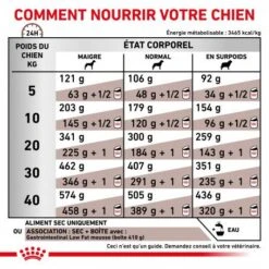 ROYAL CANIN Dog Gastro Intestinal Low Fat -Magasins Sélectionnés De Fournitures Pour Animaux Et Chiens royal canin dog gastro intestinal low fat 4