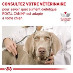 ROYAL CANIN Dog Gastro Intestinal Low Fat -Magasins Sélectionnés De Fournitures Pour Animaux Et Chiens royal canin dog gastro intestinal low fat 7