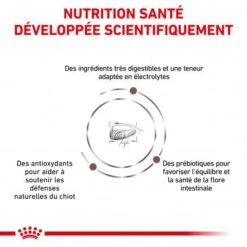 ROYAL CANIN Dog Gastro Intestinal Puppy -Magasins Sélectionnés De Fournitures Pour Animaux Et Chiens royal canin dog gastro intestinal puppy 2