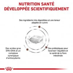 ROYAL CANIN Dog Hepatic -Magasins Sélectionnés De Fournitures Pour Animaux Et Chiens royal canin dog hepatic 2