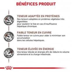 ROYAL CANIN Dog Hepatic -Magasins Sélectionnés De Fournitures Pour Animaux Et Chiens royal canin dog hepatic 3