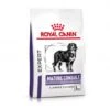 ROYAL CANIN Mature Consult Large Dog -Magasins Sélectionnés De Fournitures Pour Animaux Et Chiens royal canin vet care nutrition mature large dog